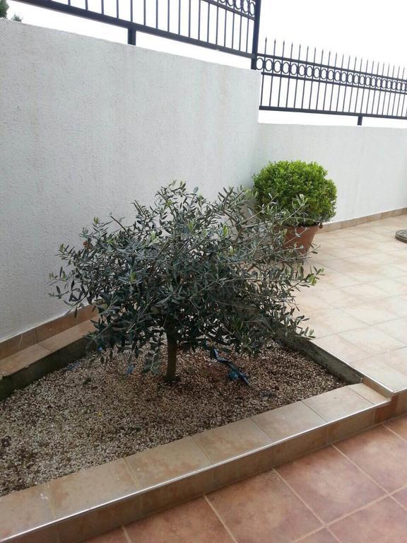 Apartments Sveti Stefan-Marko מראה חיצוני תמונה